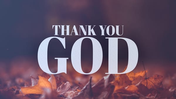 New Beginnings and Grateful Hearts